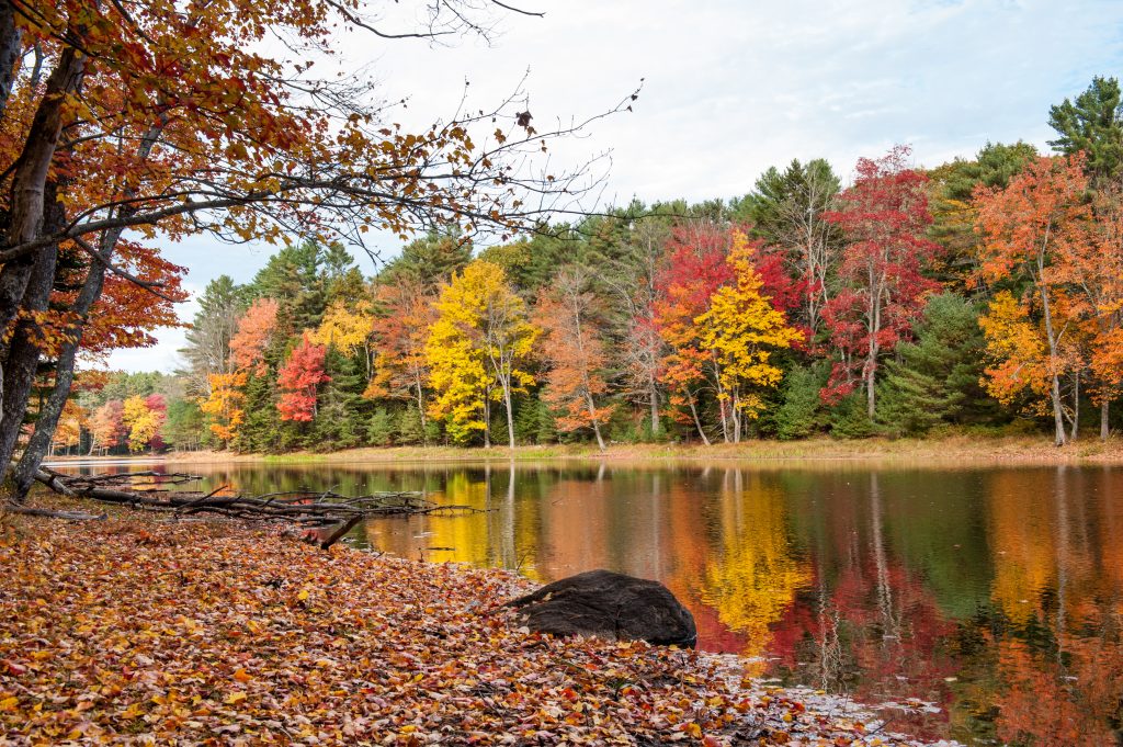  Colorful fall foliage, Georgetown, Maine